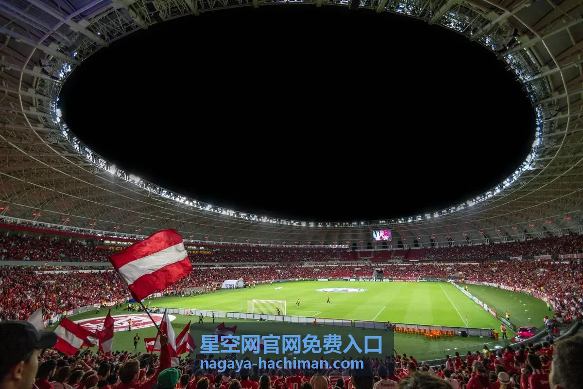 星空网官网免费入口的栏目结构示意图