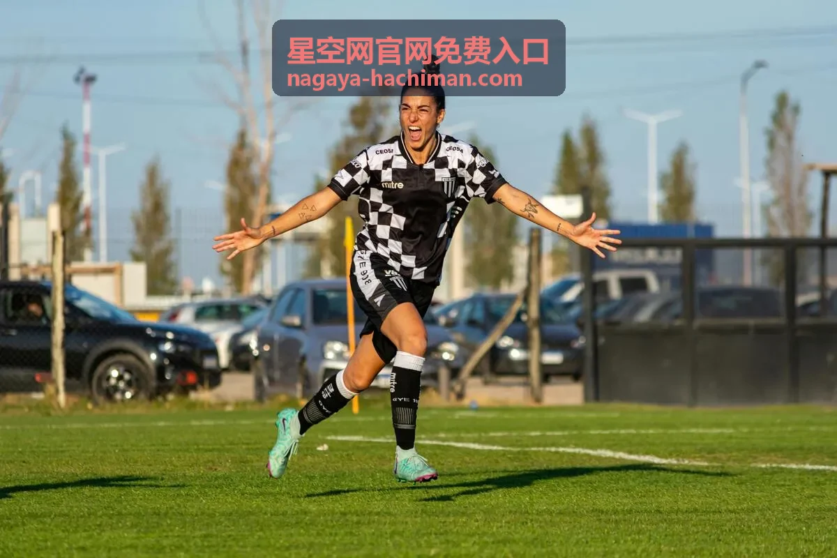 星空网官网免费入口内容配图
