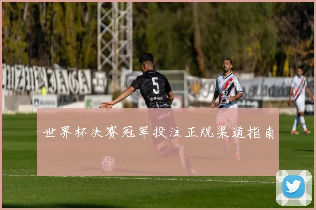 世界杯决赛冠军投注正规渠道指南