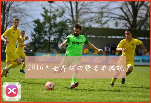 2016年世界杯四强名单揭晓