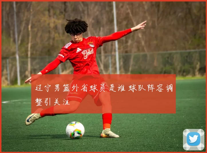 辽宁男篮外省球员是谁 球队阵容调整引关注