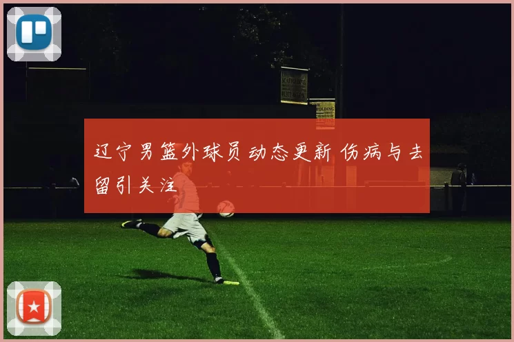 辽宁男篮外球员动态更新 伤病与去留引关注