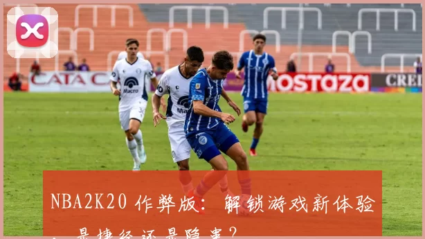 NBA2K20 作弊版:解锁游戏新体验,是捷径还是隐患?